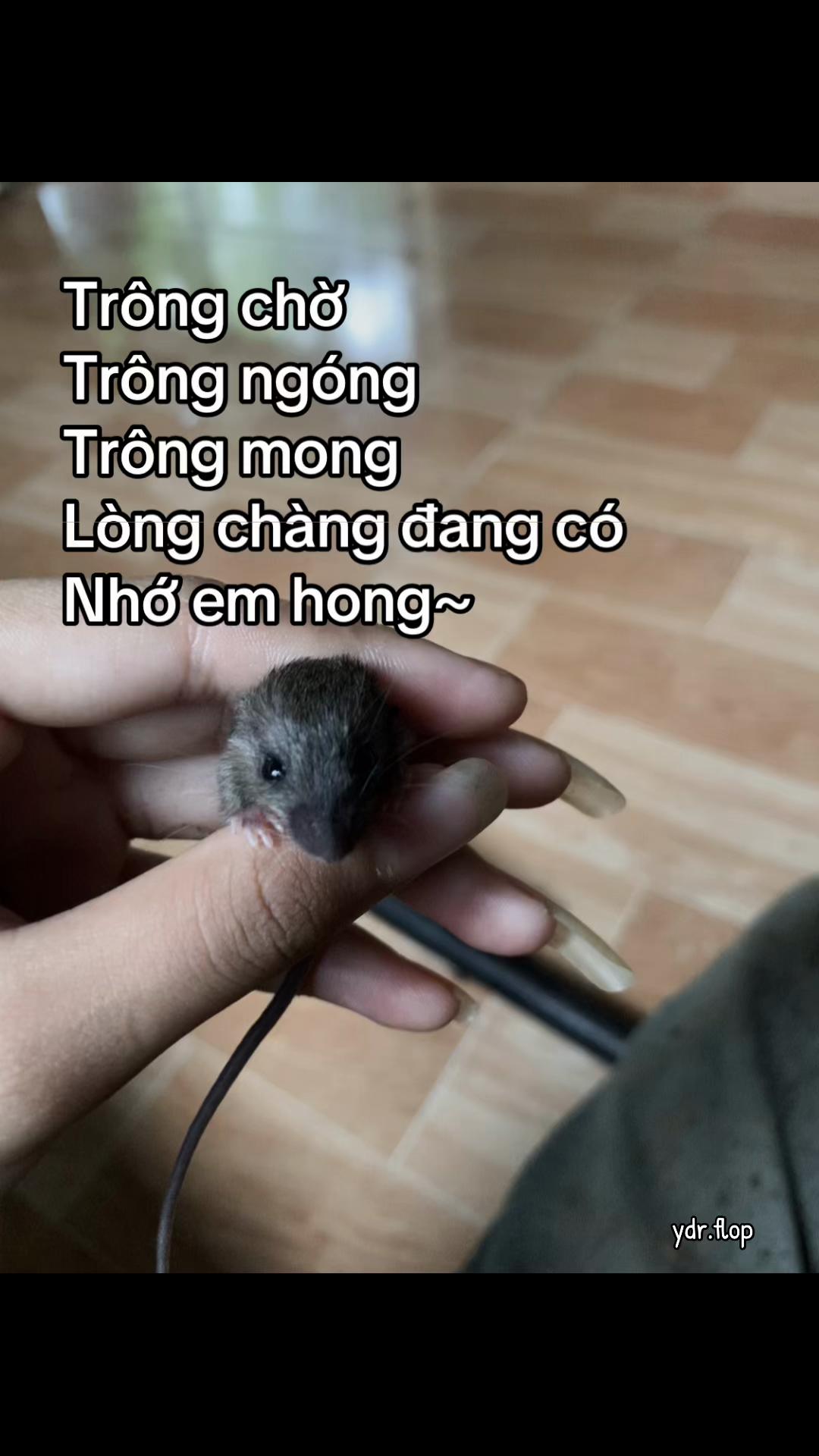 @Măm Tẻnn ᴥ