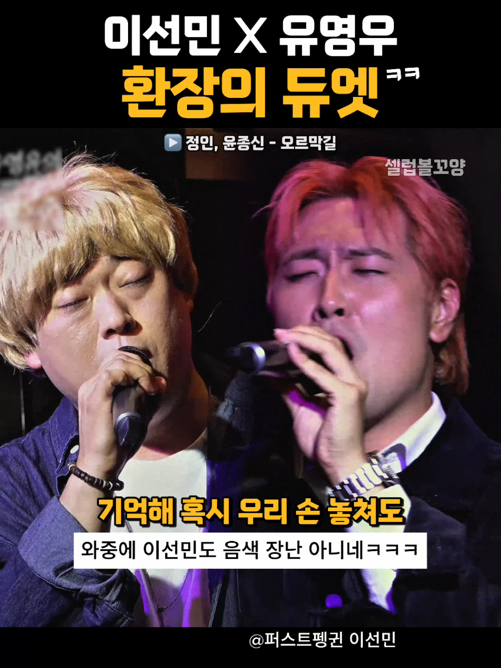 @셀럽볼꼬양