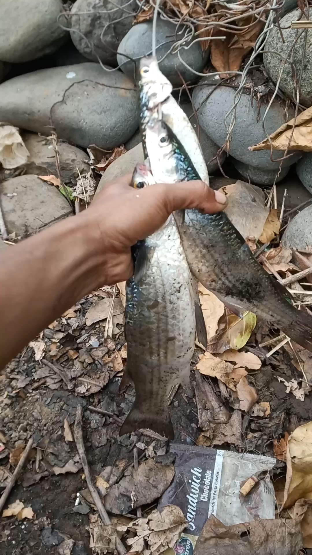 @storymancing7