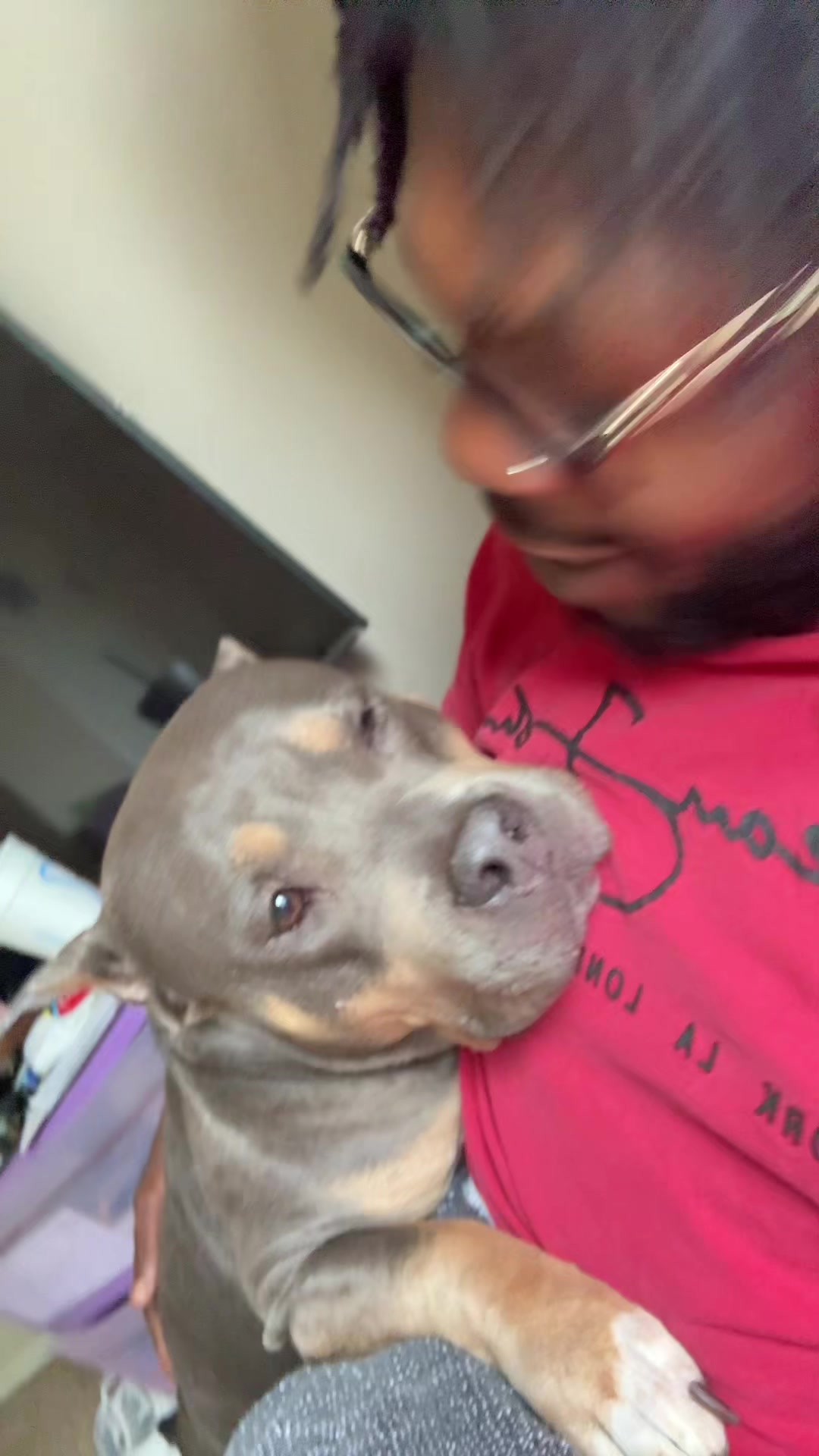 @BOSSBREEDBULLYZ