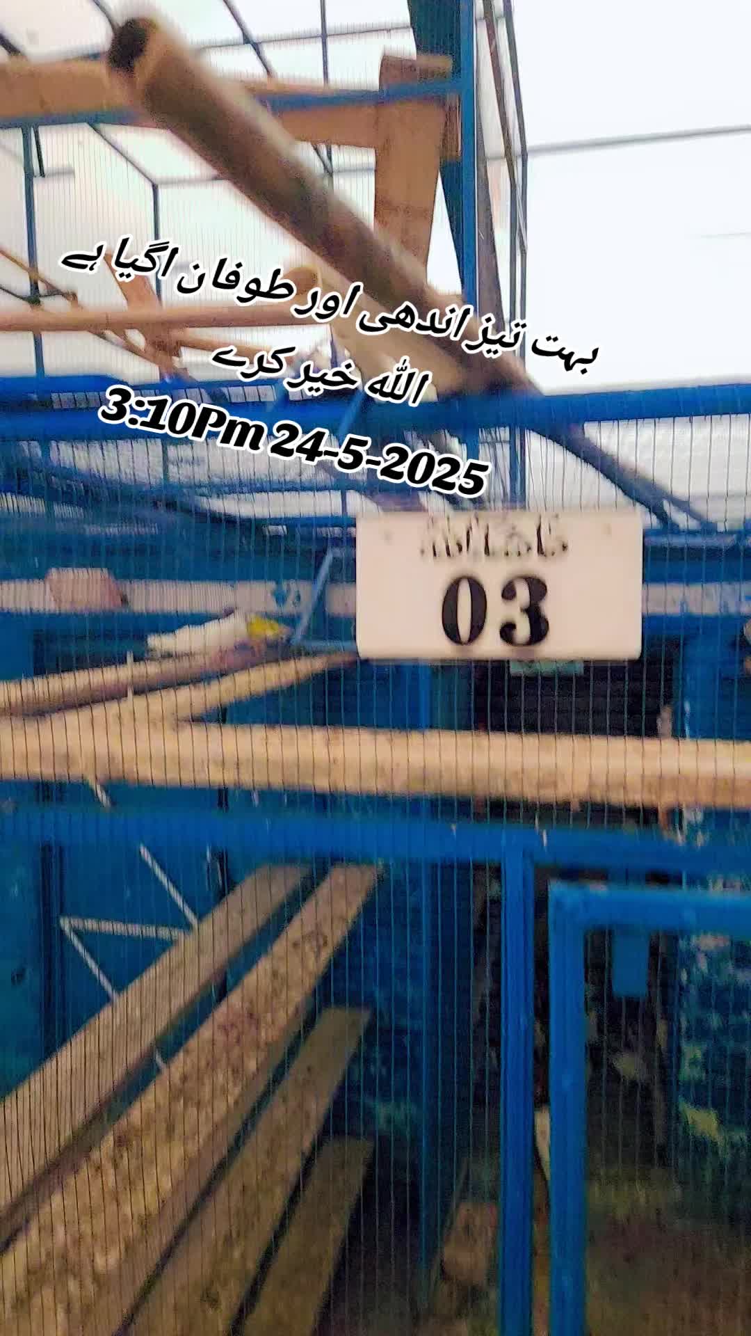 @Tasif Ayaan