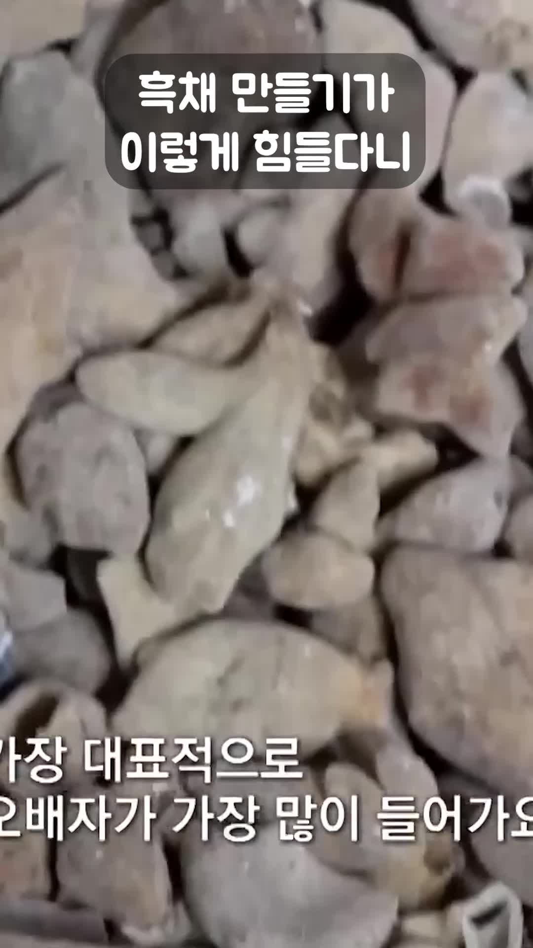 @EBS 다큐