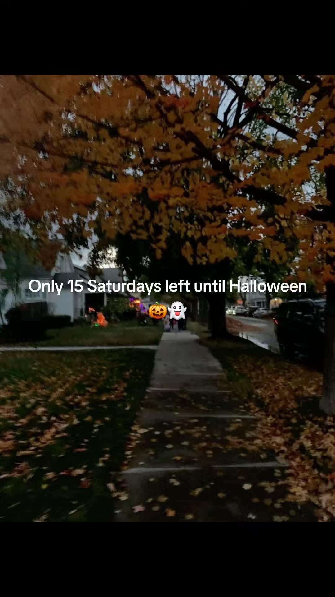 @FrightToFestive