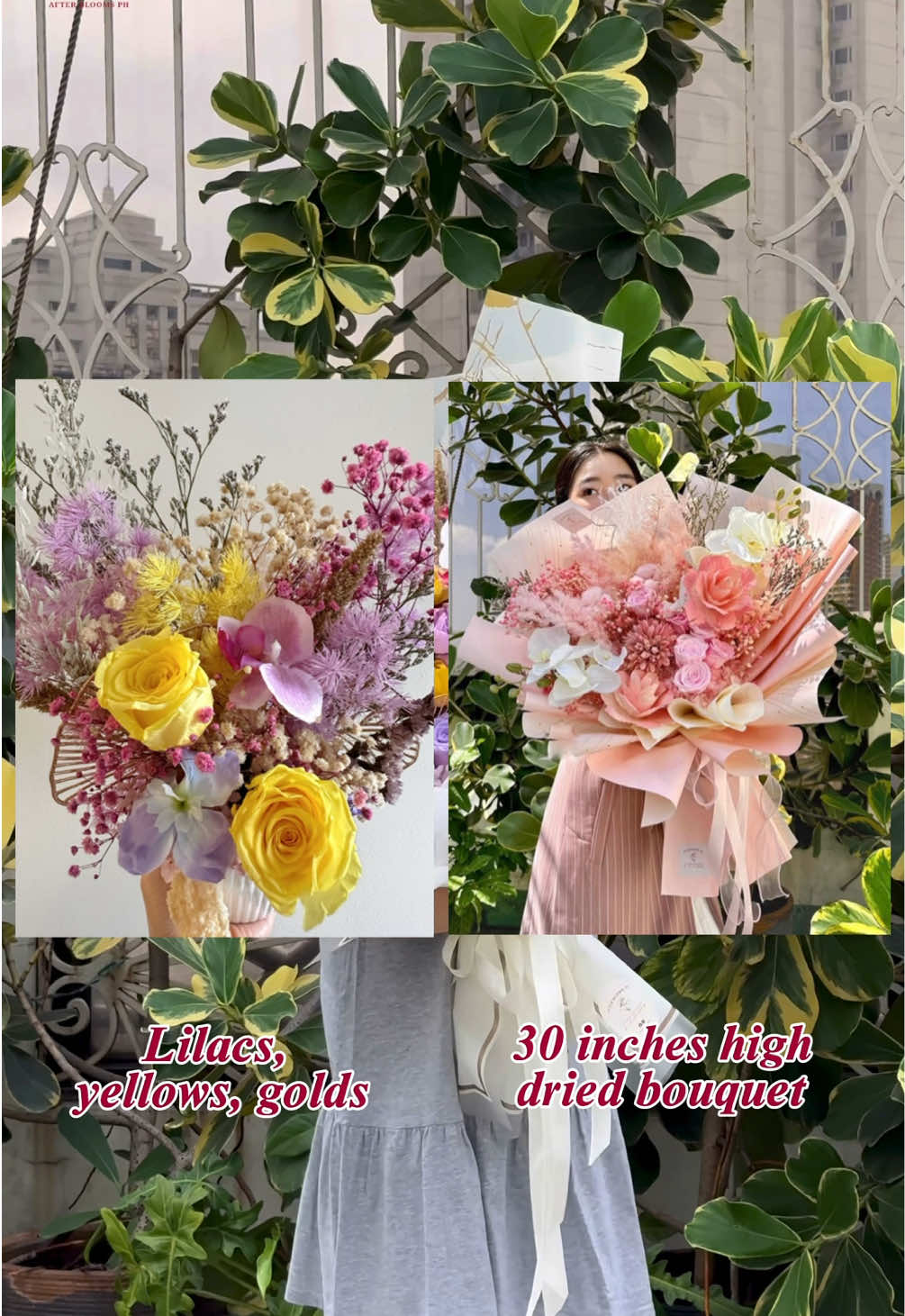 @After Blooms PH