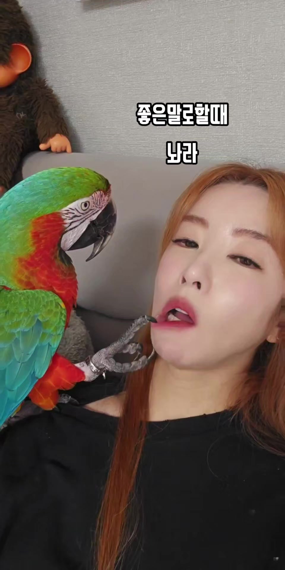 @๋
ธ๋ํ๋๐ฅ๊ธ๋๋ผ๐ฆ