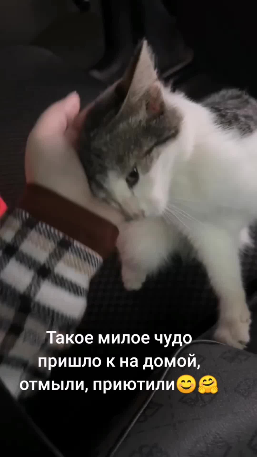 @Сергей