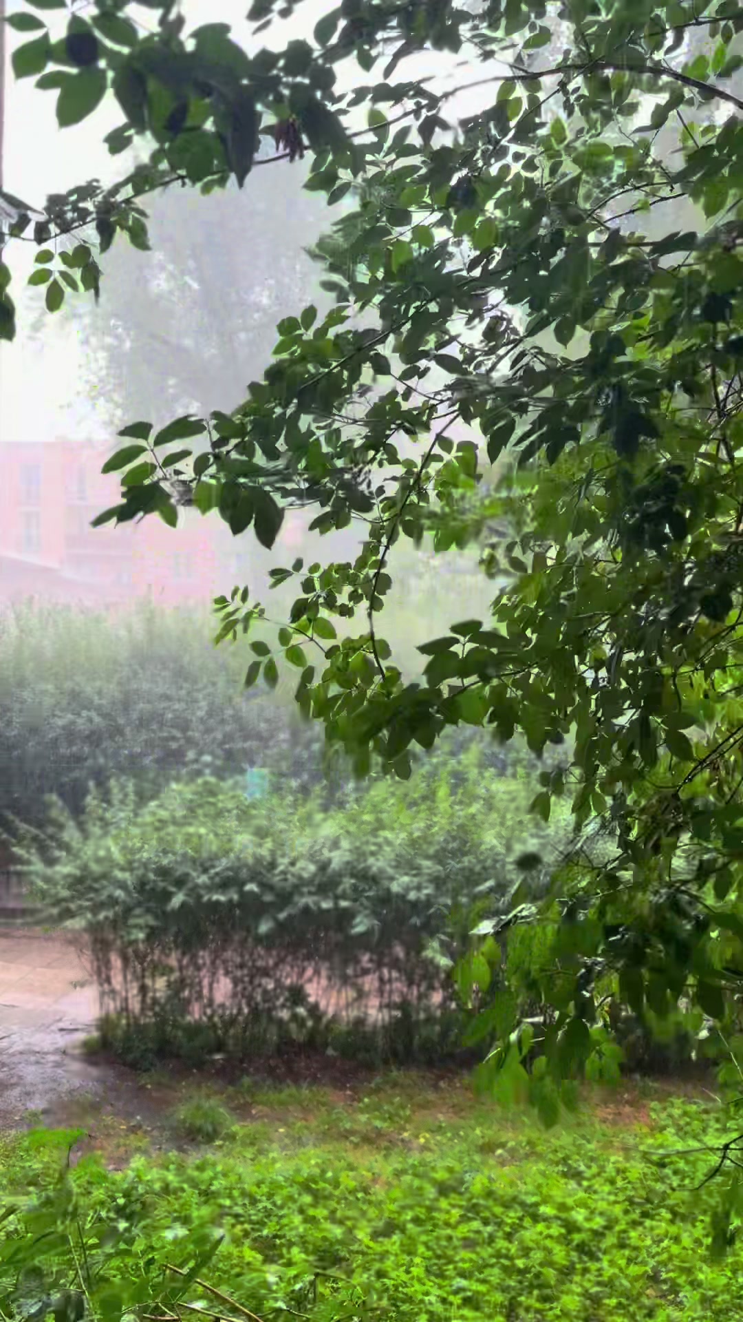 @gsnffaa