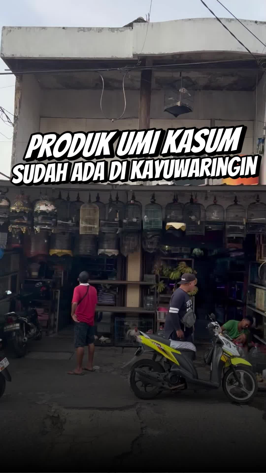 @umikasum.official
