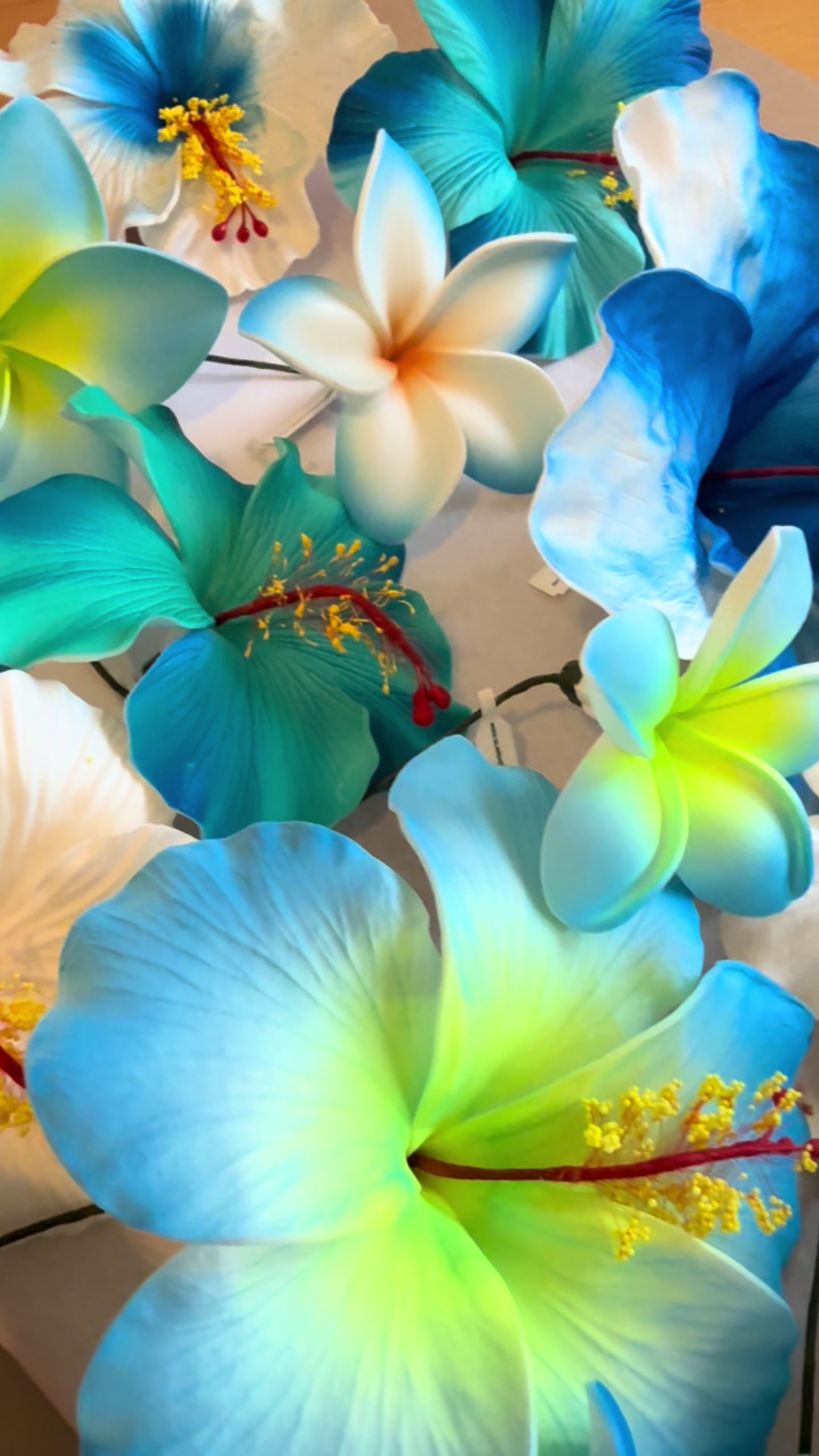 @Island Aesthetica ๐บ