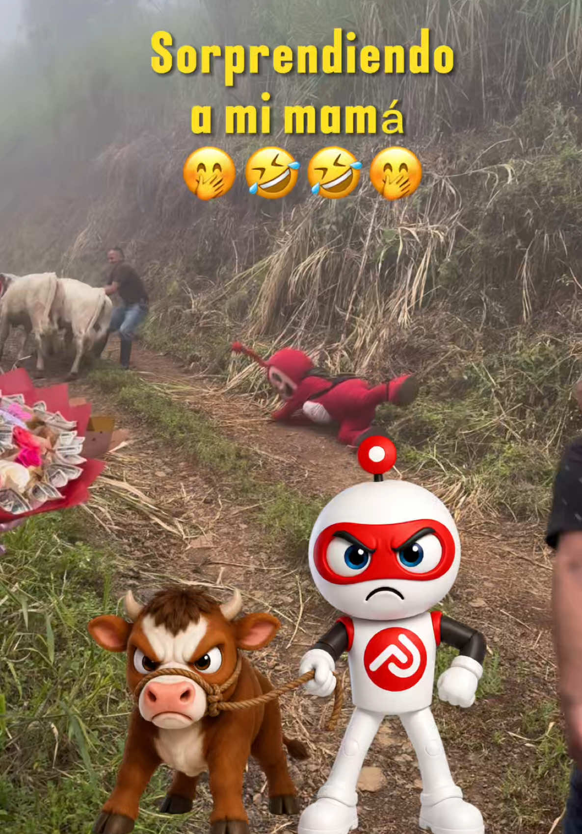 @Almaceneselparaiso