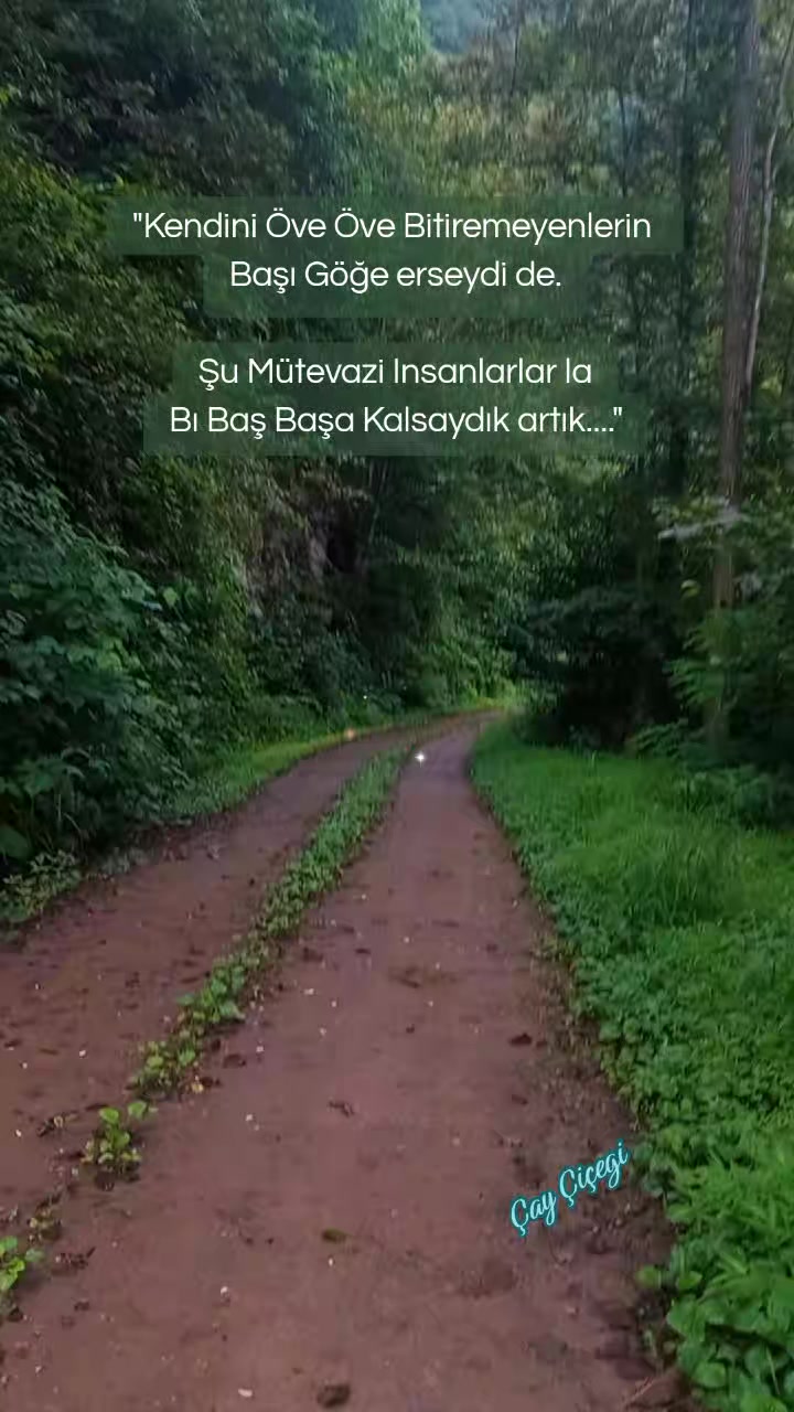 @Çay çiçeği-53