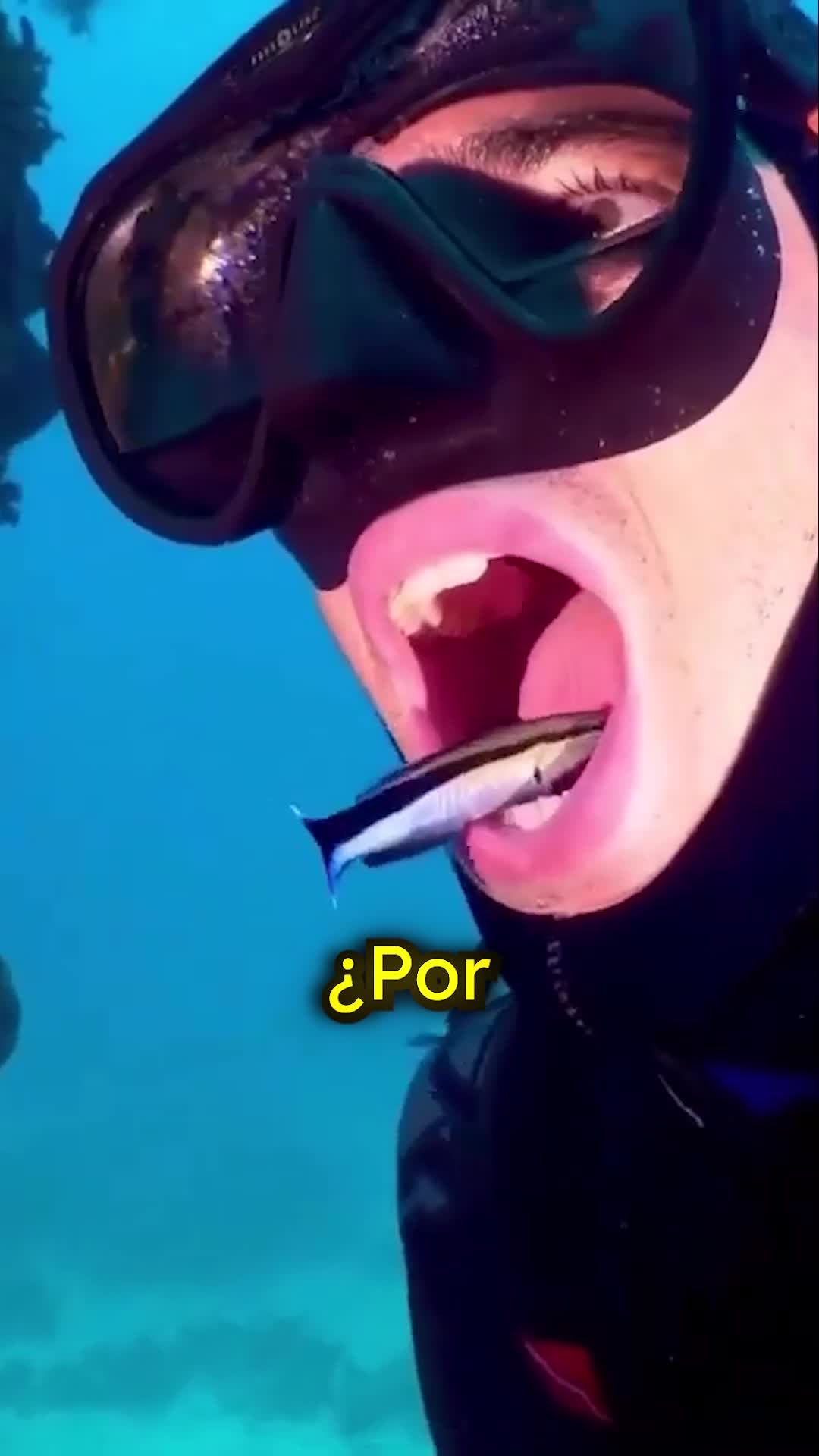 @CuriosoBen 😾