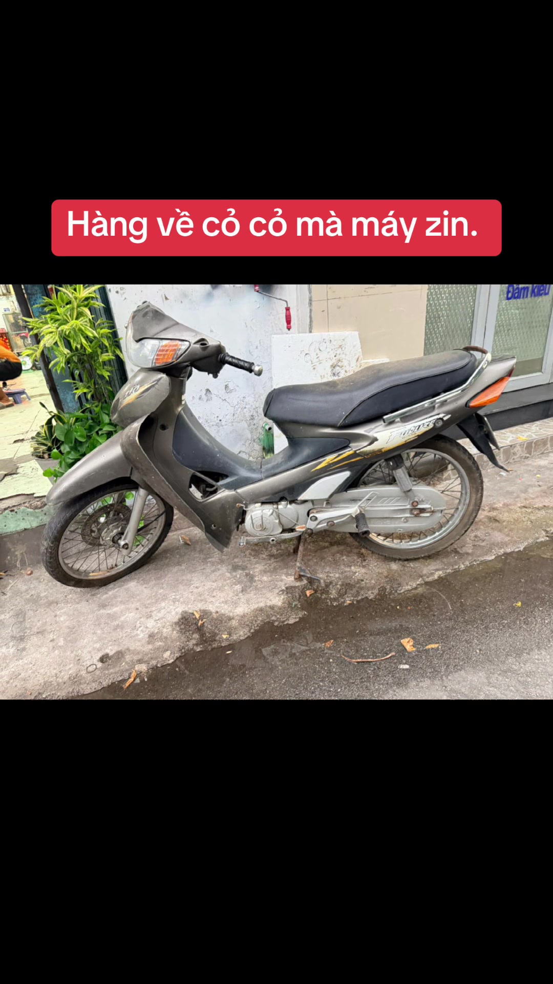 @Shop trọng qu&iacute; nguyễn