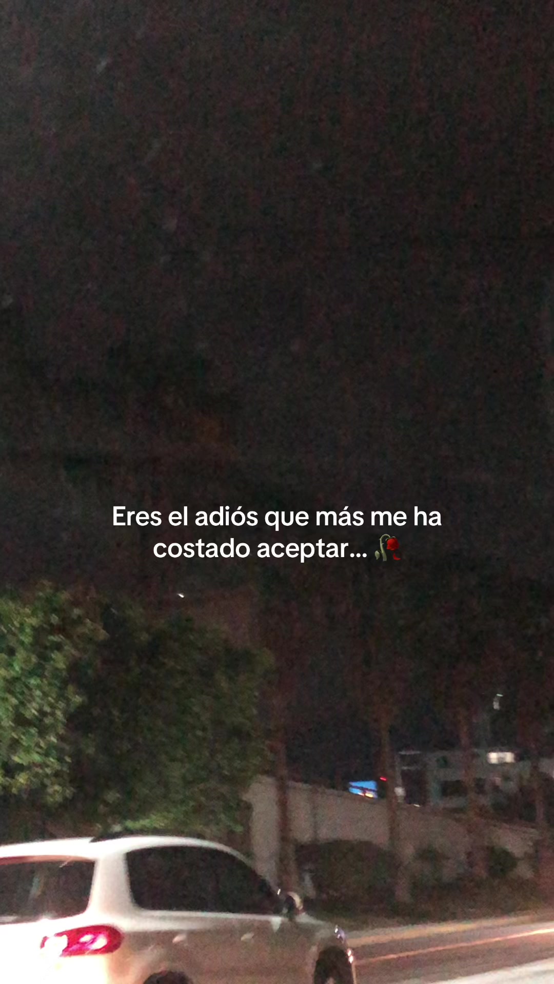 @Shay🌵✨
