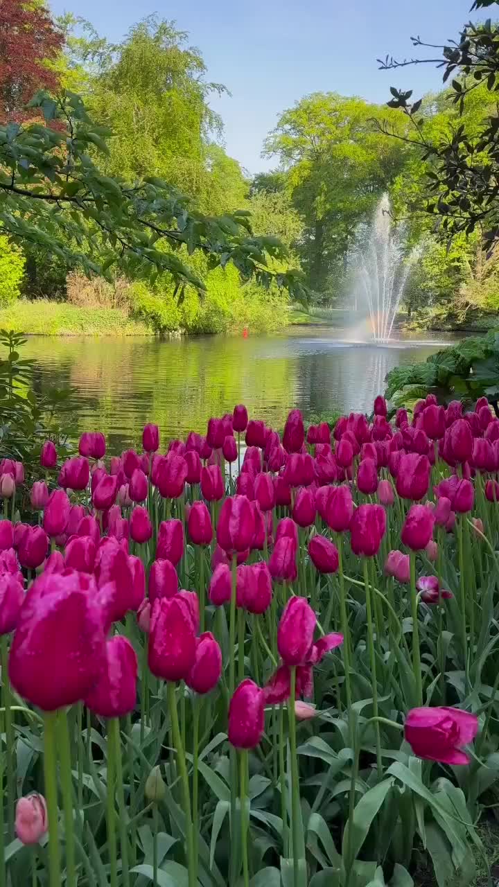 @𝓂𝓎 𝒷𝓁𝑜𝑔