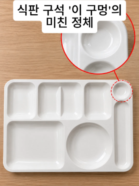 @주작의 피닉스