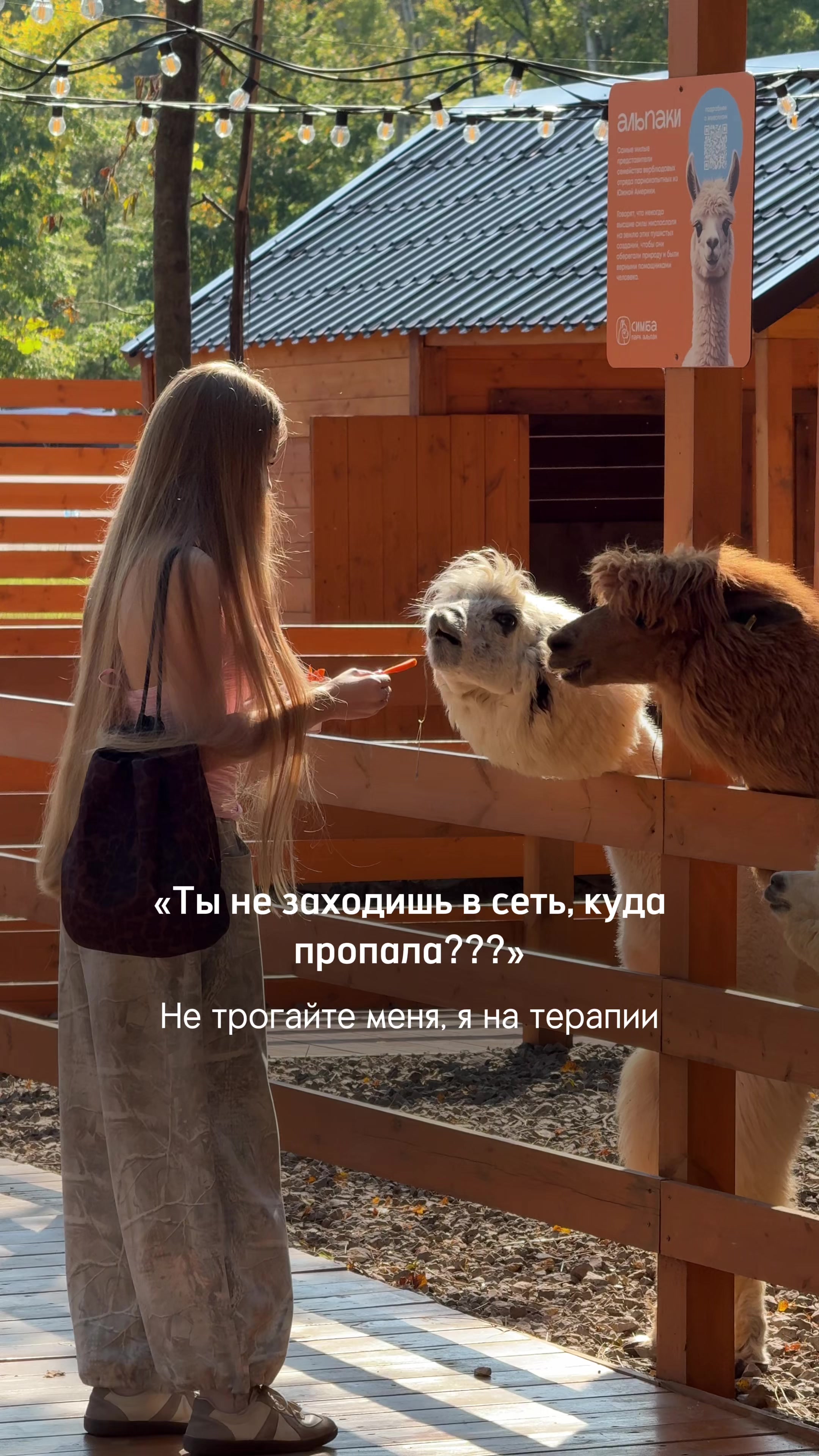 @Тася Карцева
