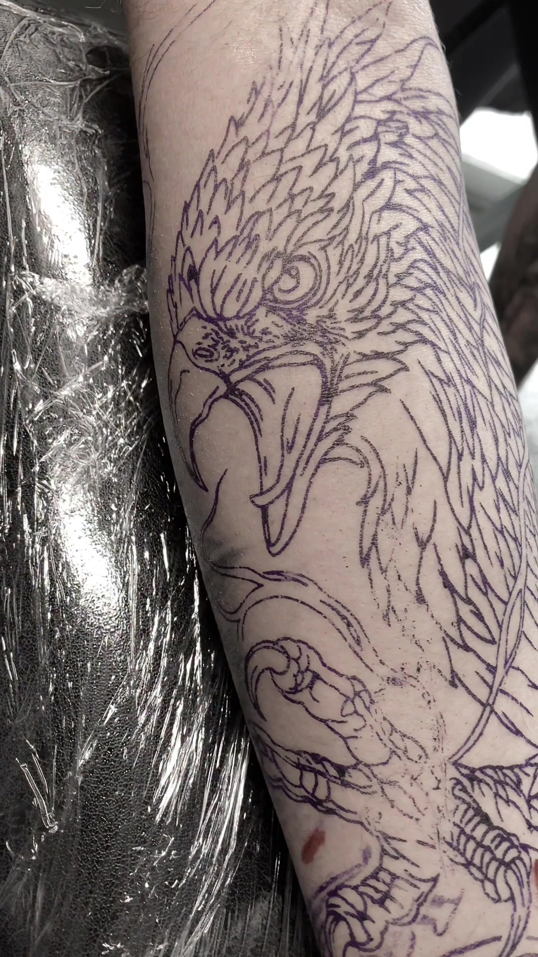 @Sekeres tattoo