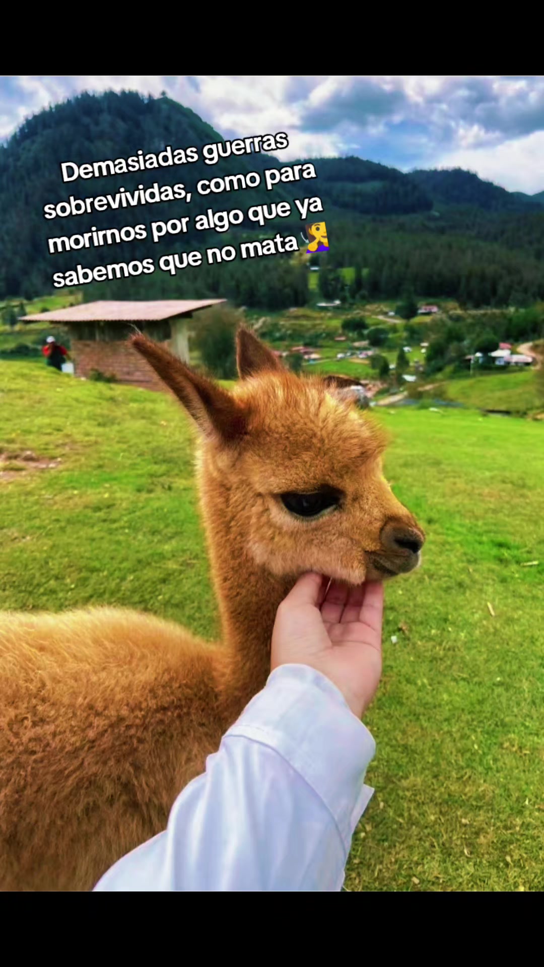 @Elizabeth D&iacute;az ❤️