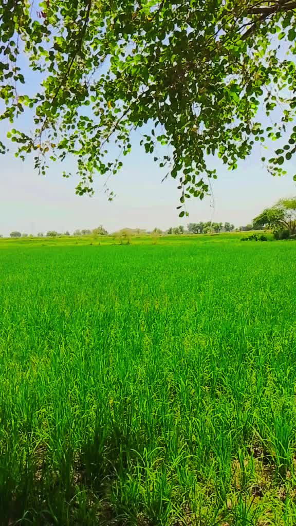 @اللہ کے سوا کوئی دوست نہیں