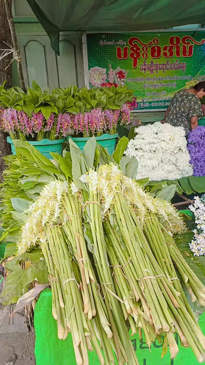 @đđšáááşá¸á
áśáĄáááş(áááášááŽááŹááźááŻáˇ)