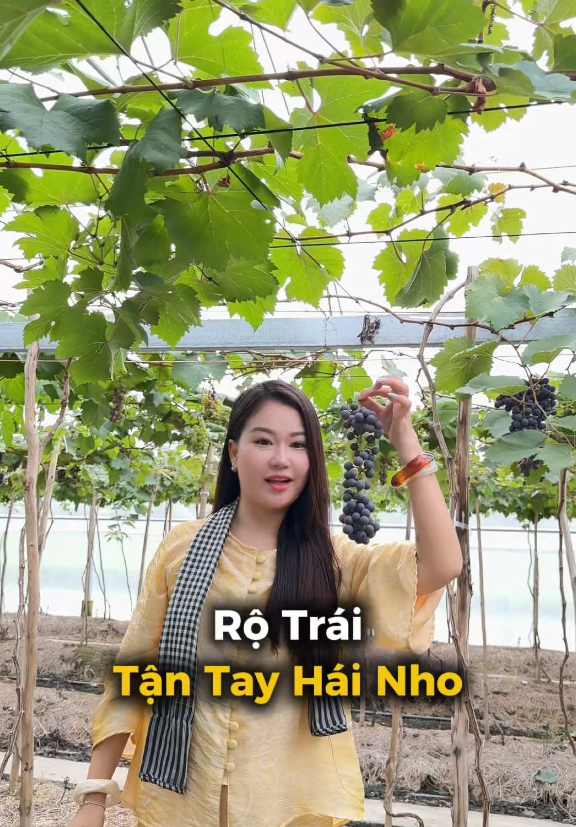 @B&eacute; Rồng