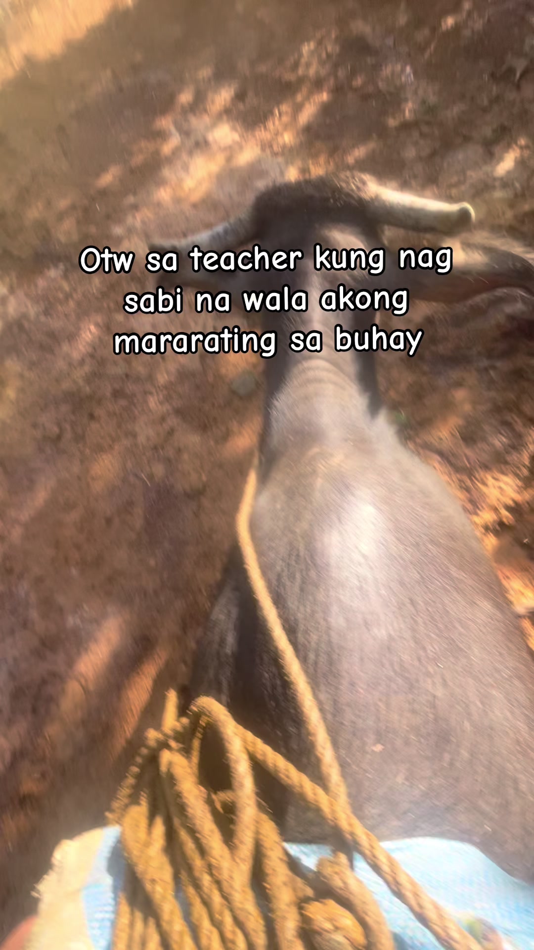 @jedforestt