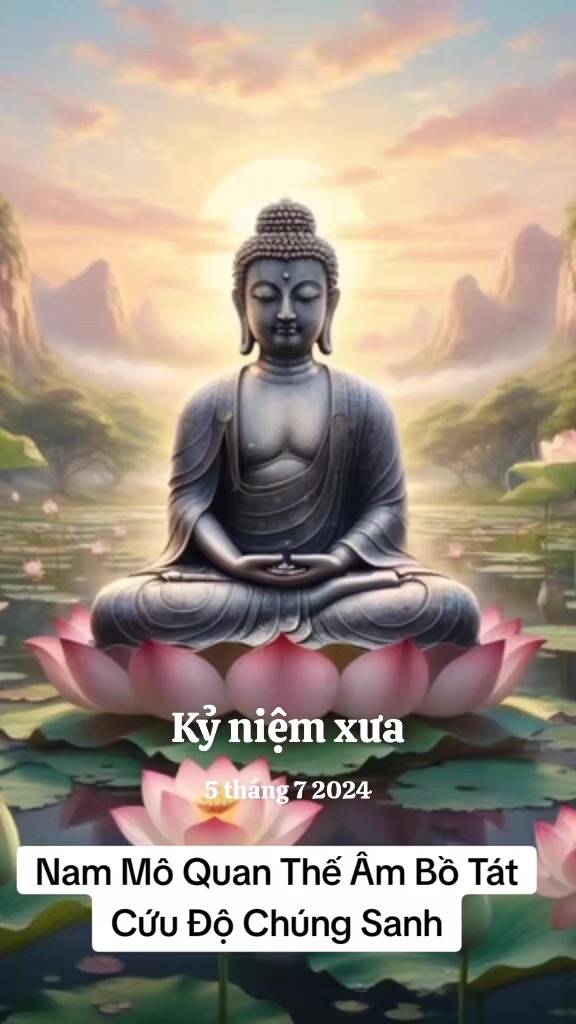 @nguyễn dung