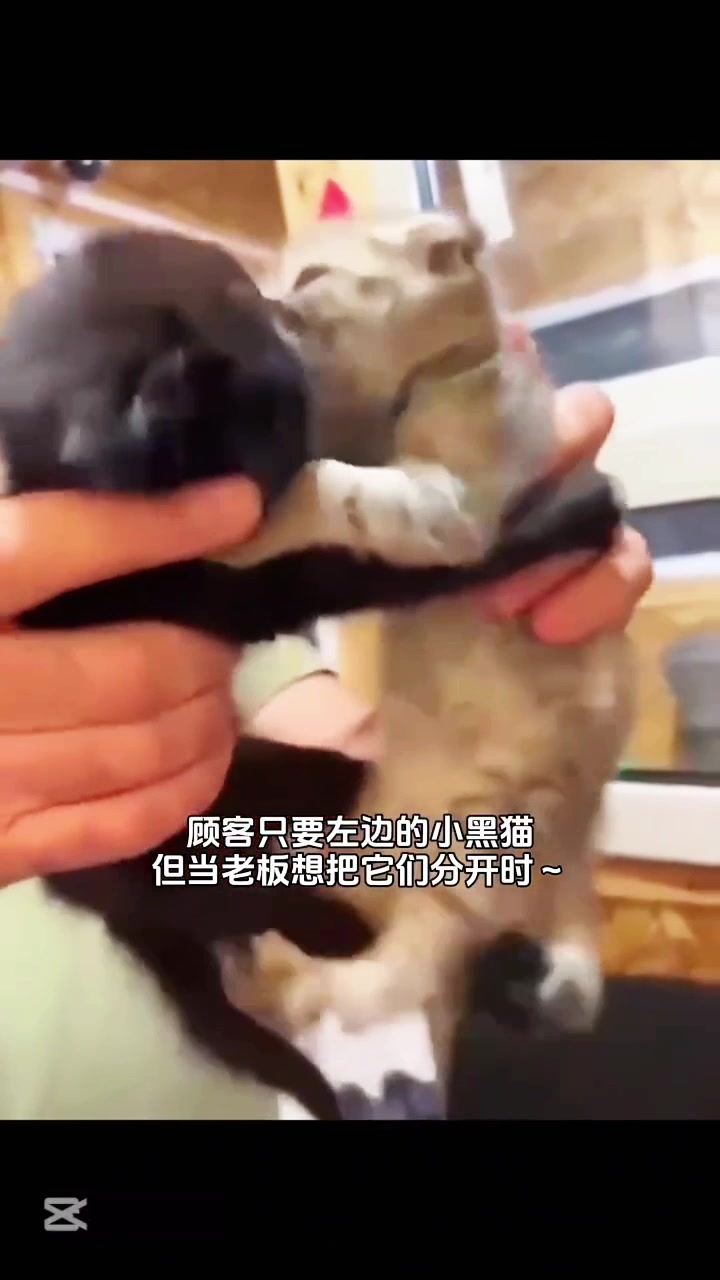 @liujiangyu