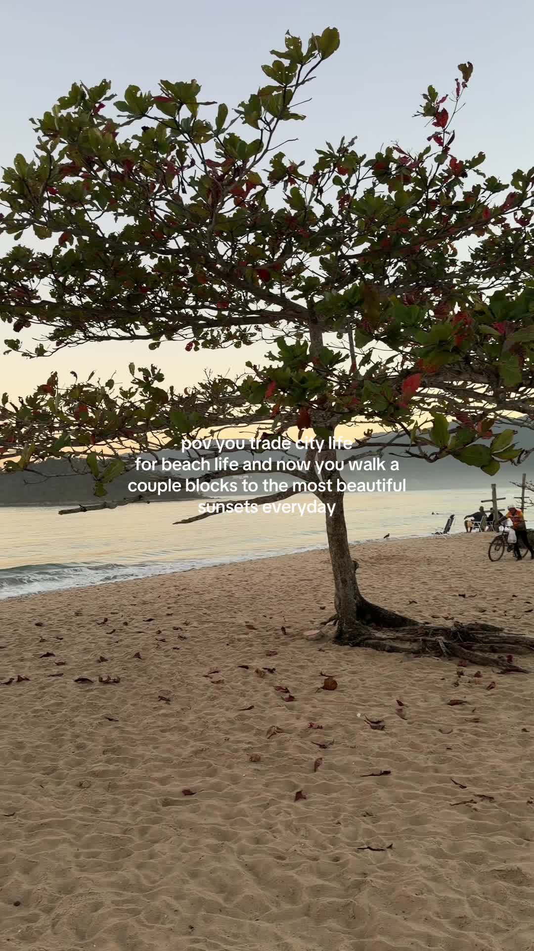 @jaycardozamusic