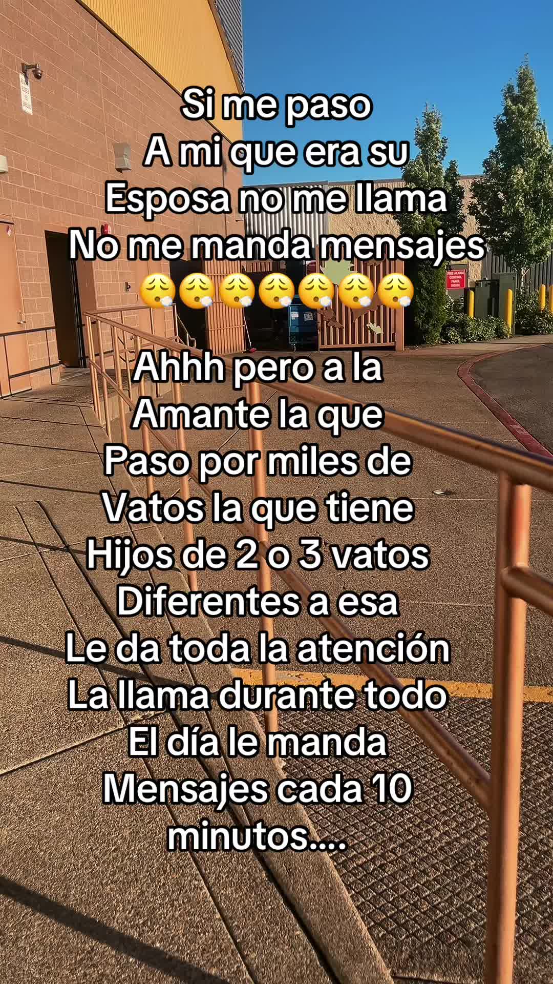 @lolischula