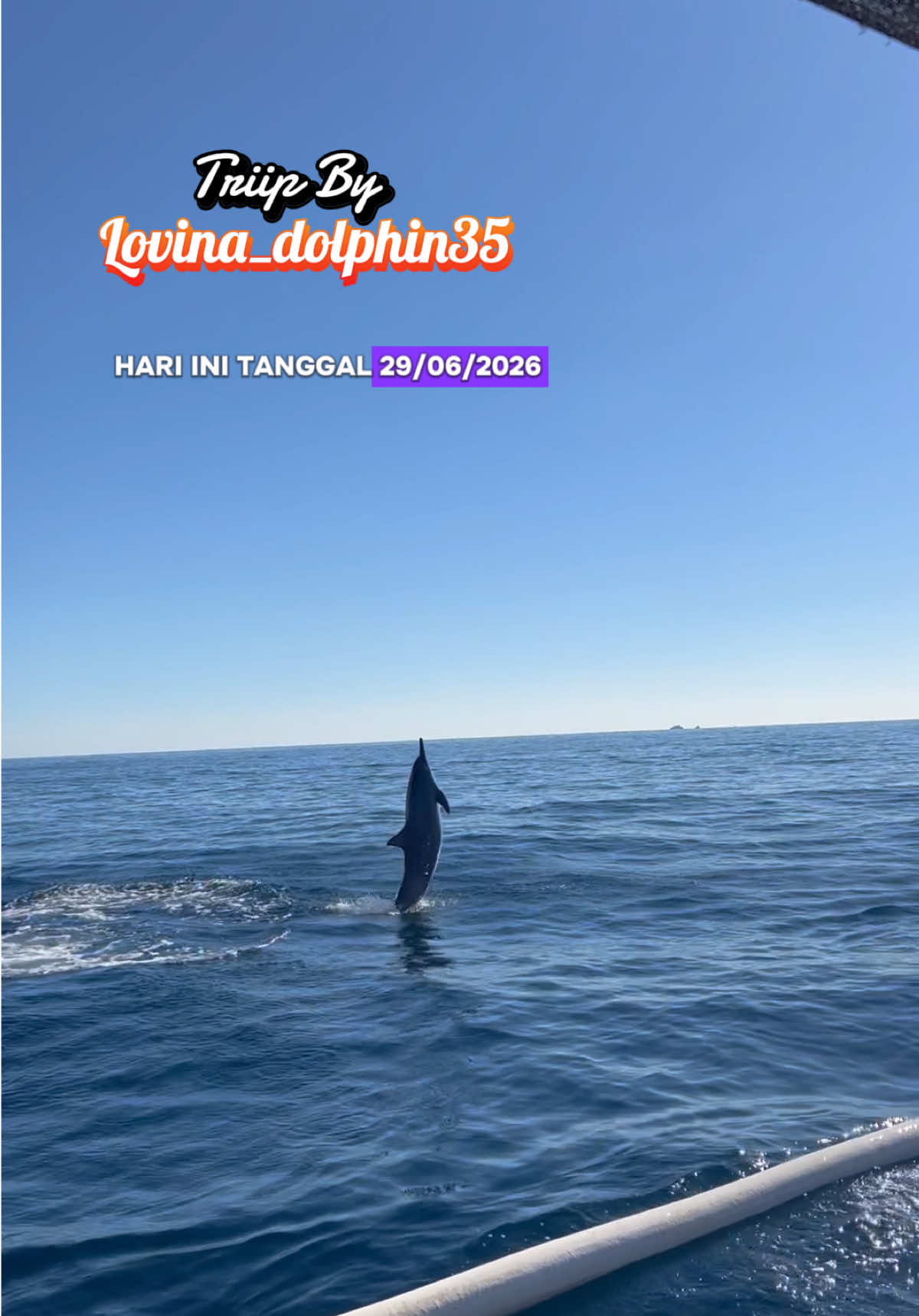@𝙇𝙤𝙫𝙞𝙣𝙖_𝙙𝙤𝙡𝙥𝙝𝙞𝙣35