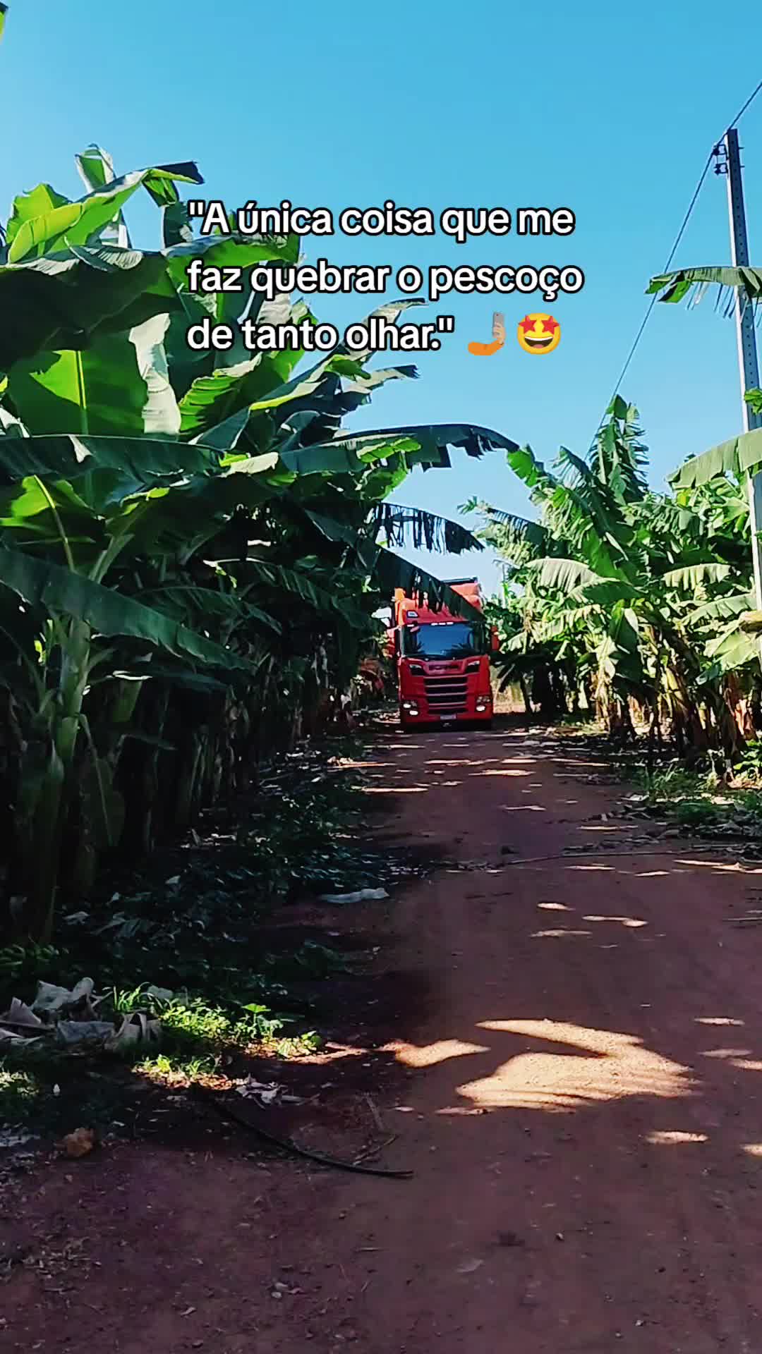 @Jaque