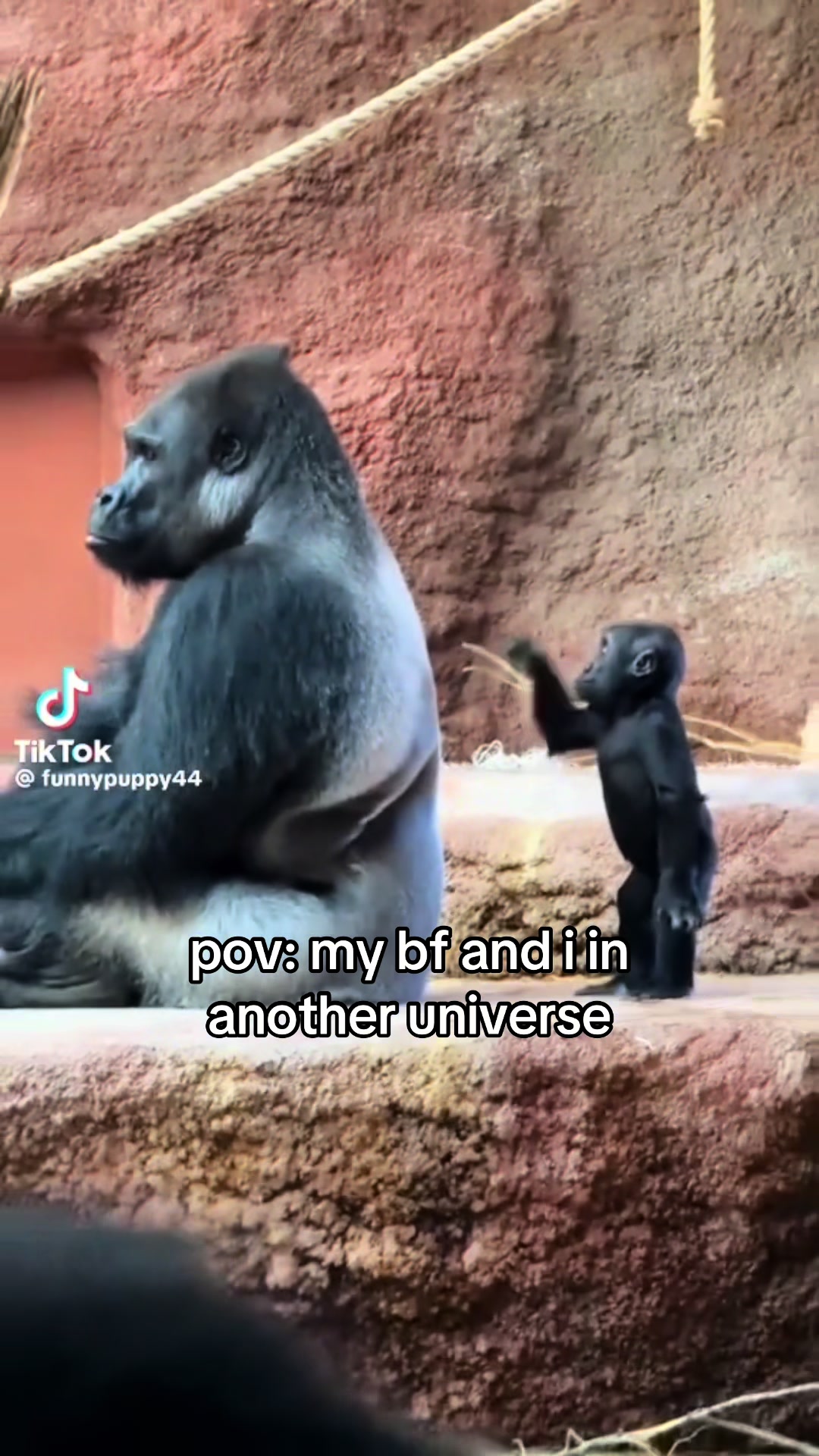 @Cait & Brandon