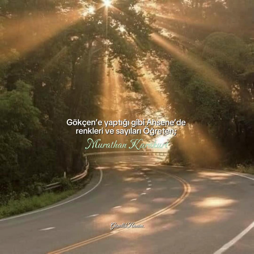 @ᴇʟᴢᴇᴍ ᴀᴋᴀʏ™᭕.꙳