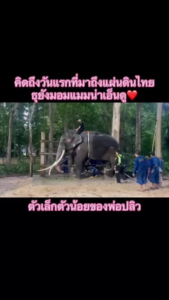 @นุ^-^ 🐹🐹💥🎧