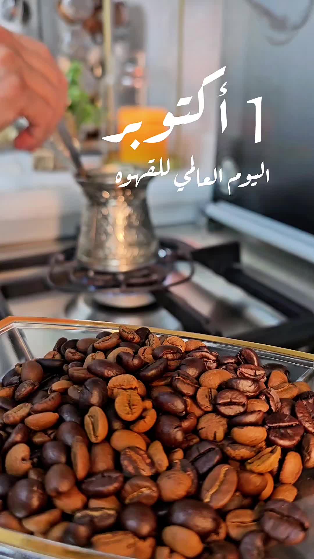 @fatima shilbaya