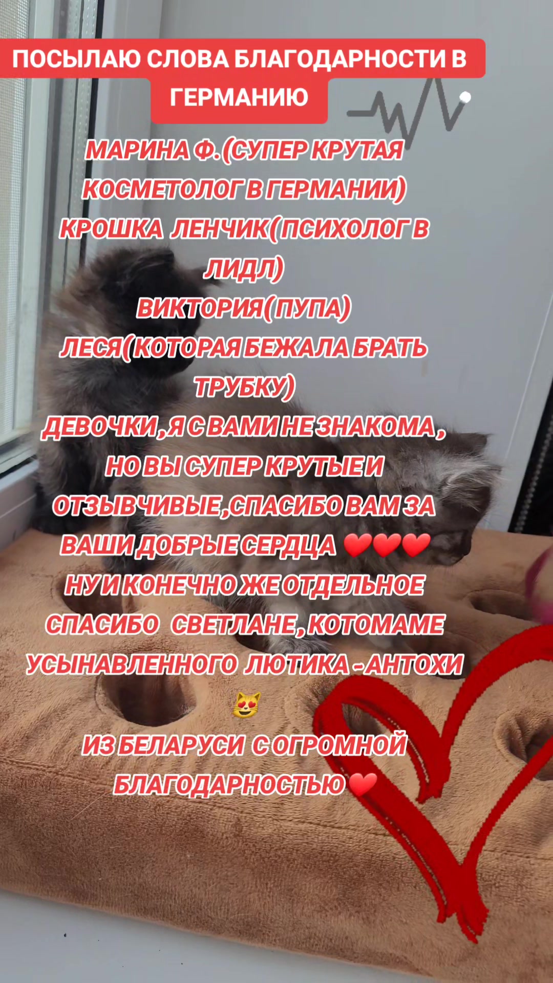 @marinka20_09