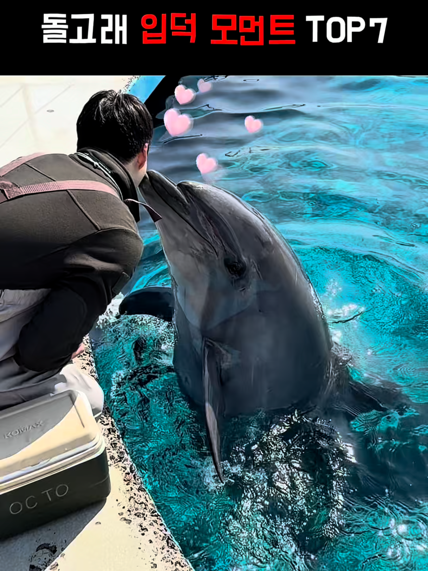 @DolphinTok