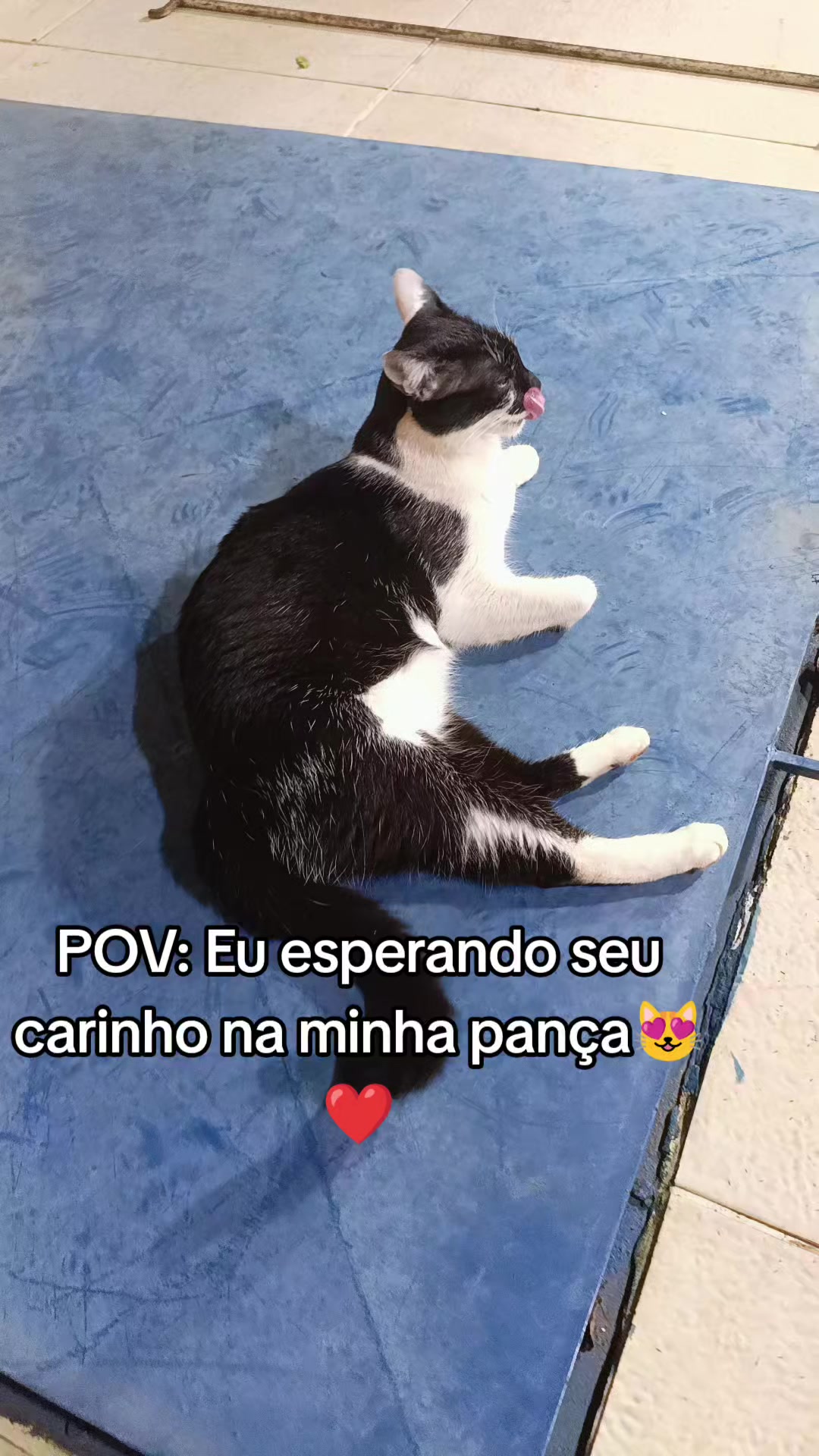 @Paula Alves
