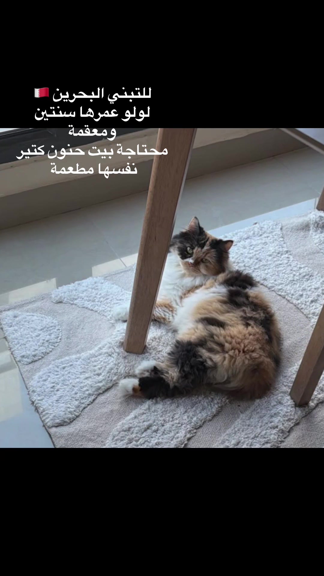 @الديموزيل ✨