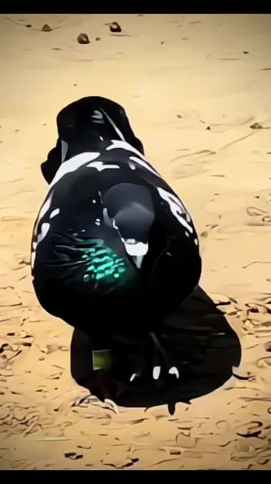 @𝐏𝐈𝙂𝝚𝝤𝝢𝙎𓅛