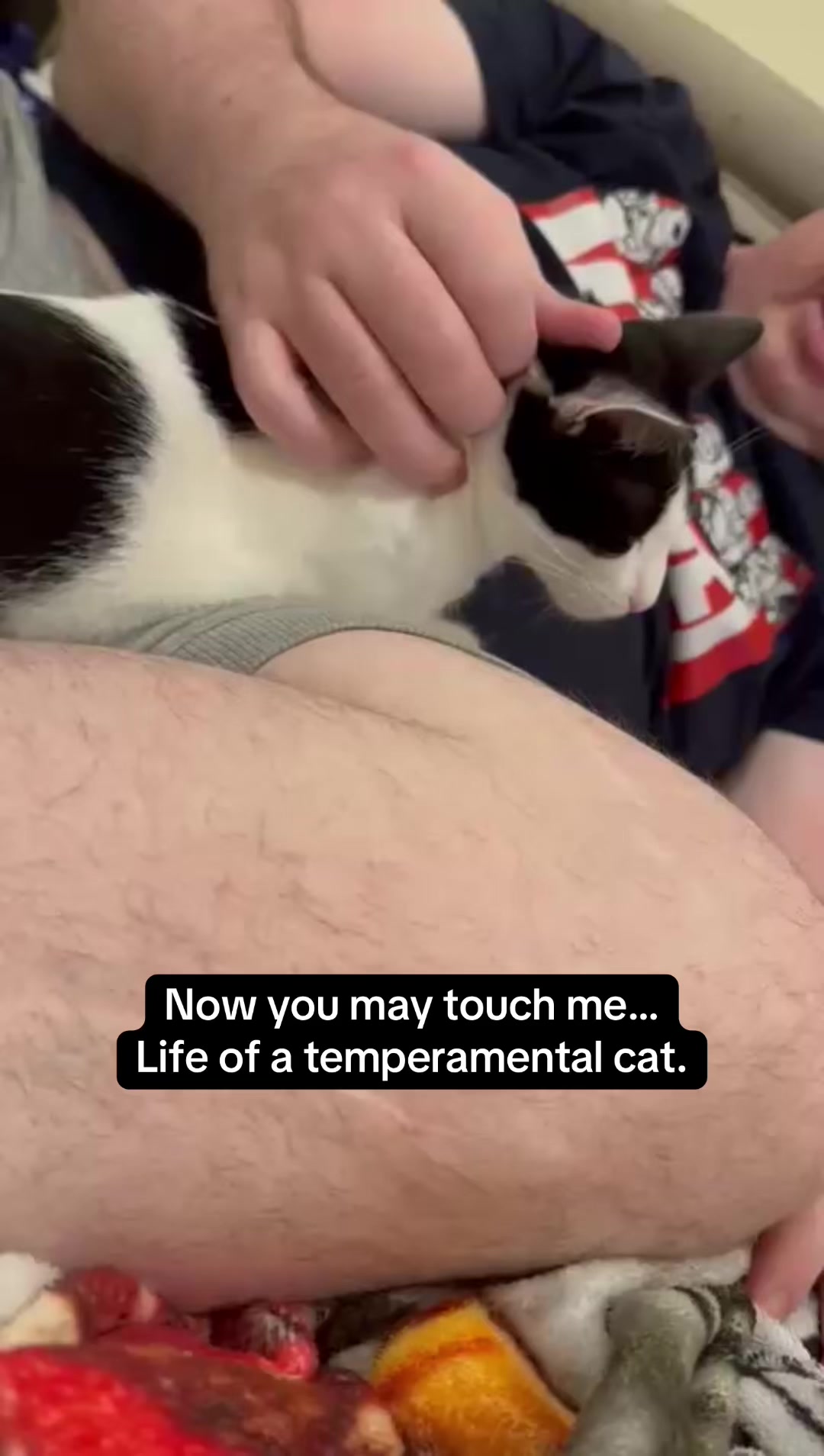 @Father5cats