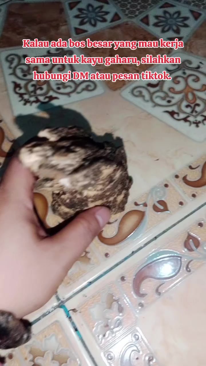 @👑Sakti Raja Simatupang👑