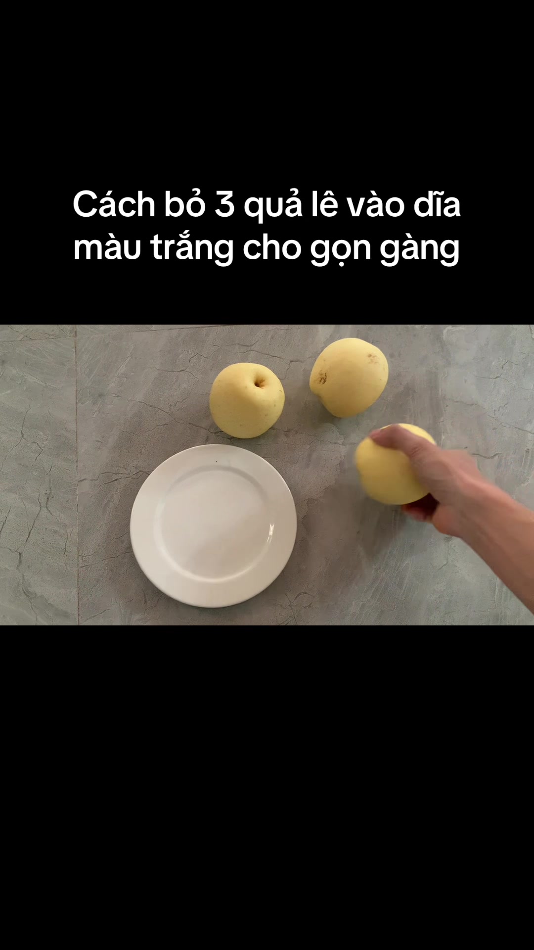 @Mèo thông thái