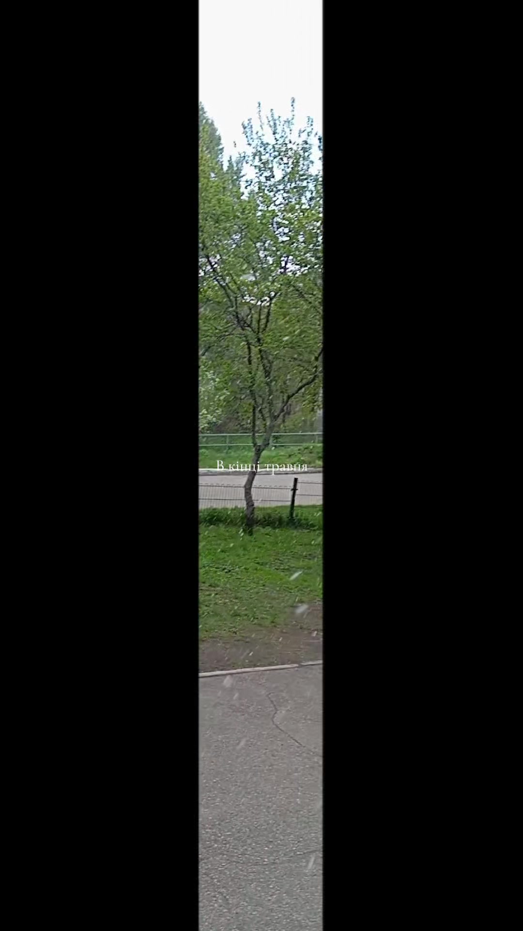 @пылесом