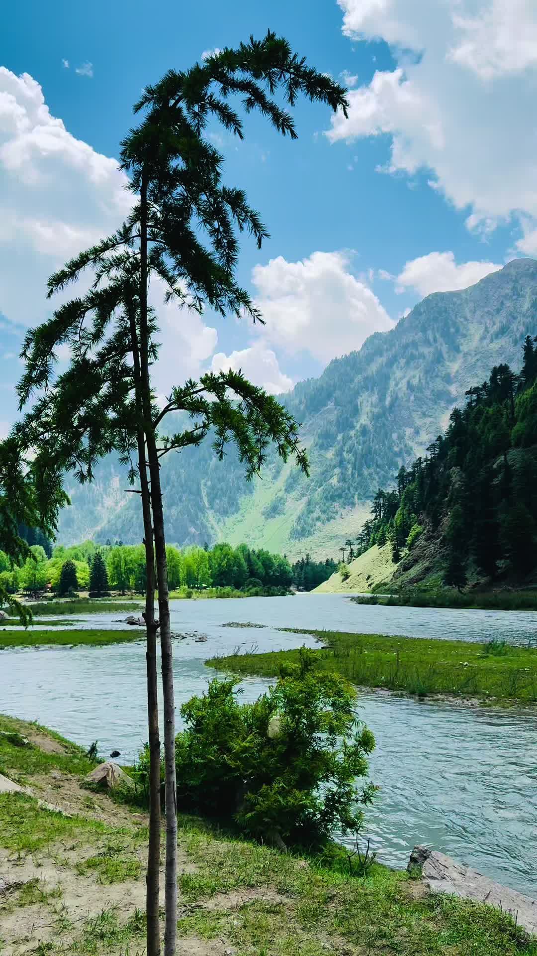 @꧁ᴹ꧍ujeeb ꧂: Khan522