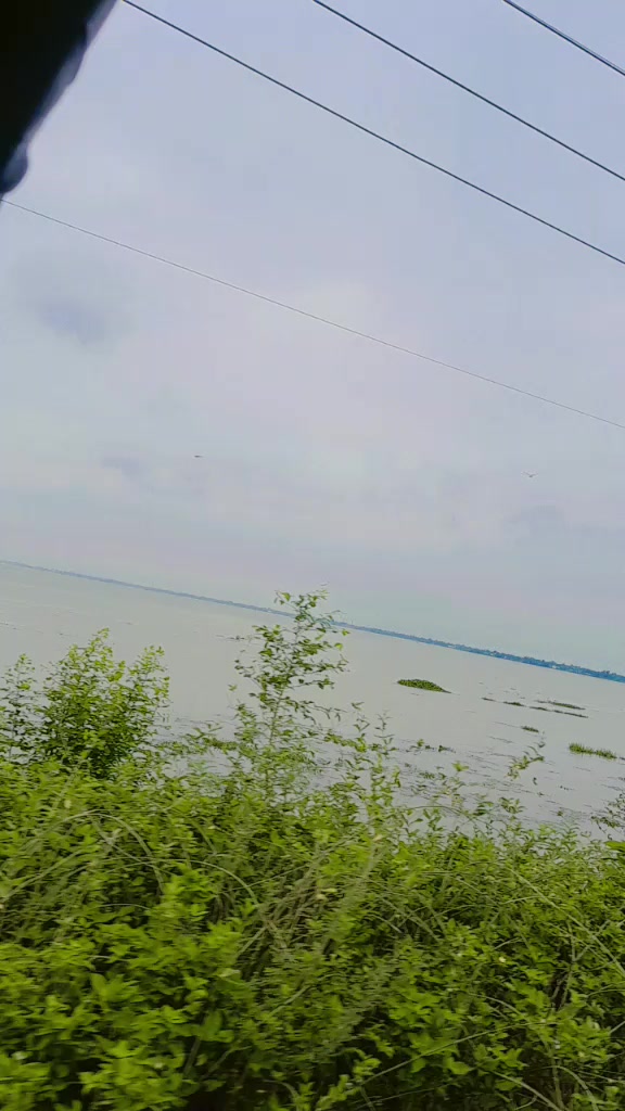 @জান্নাতুল ফেরদৌস