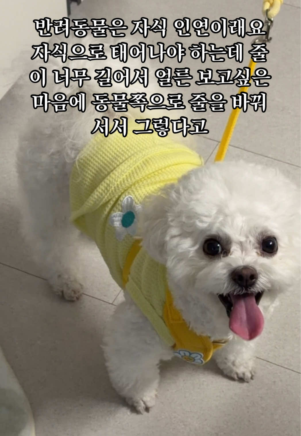 @짜원인데 뭐
