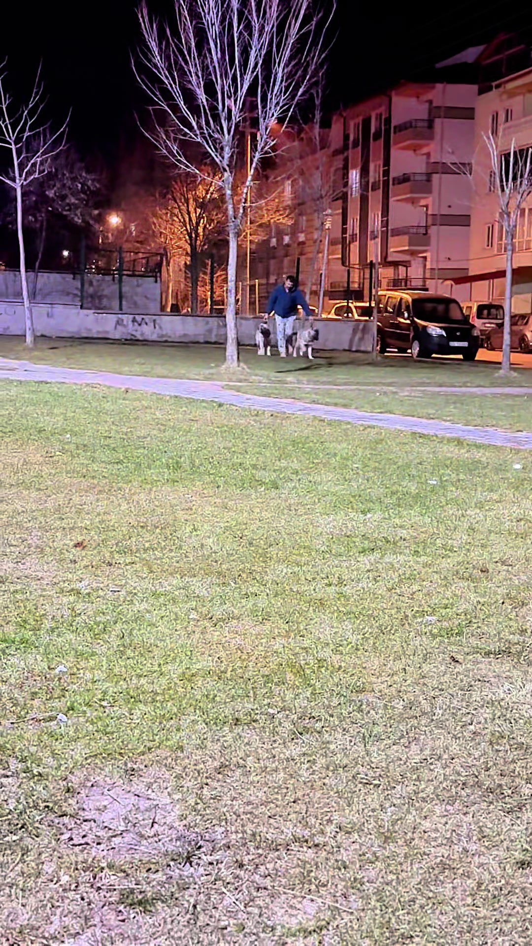 @Ziya Kartal